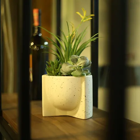 Aliko Hotel Radhimë